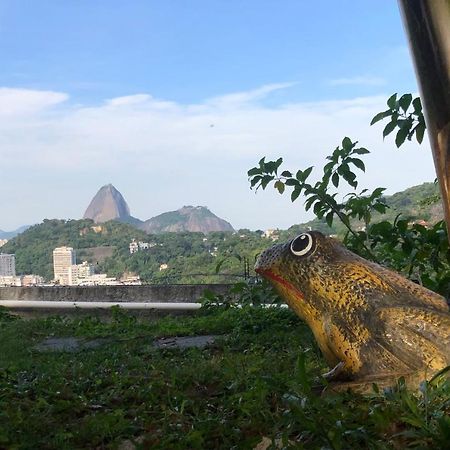 Belle De Jour Appartamento Rio de Janeiro Esterno foto